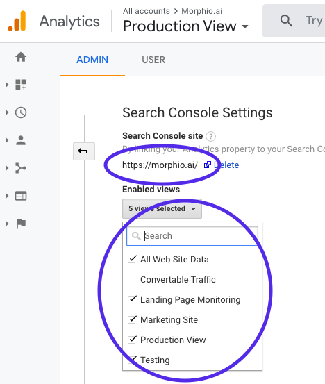 Google Search Console view selection in Google Analytics