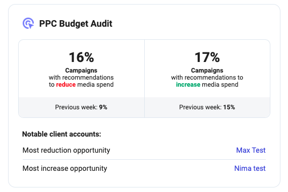 weekly summary report email - ppc budget audit